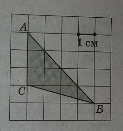 Найдите площадь треугольника ABC. Размер каждой клетки 1см*1см.
