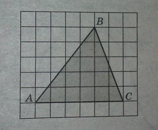 На клетчатой бумаге с клетками размером 1 см*1 см изображен треугольник 